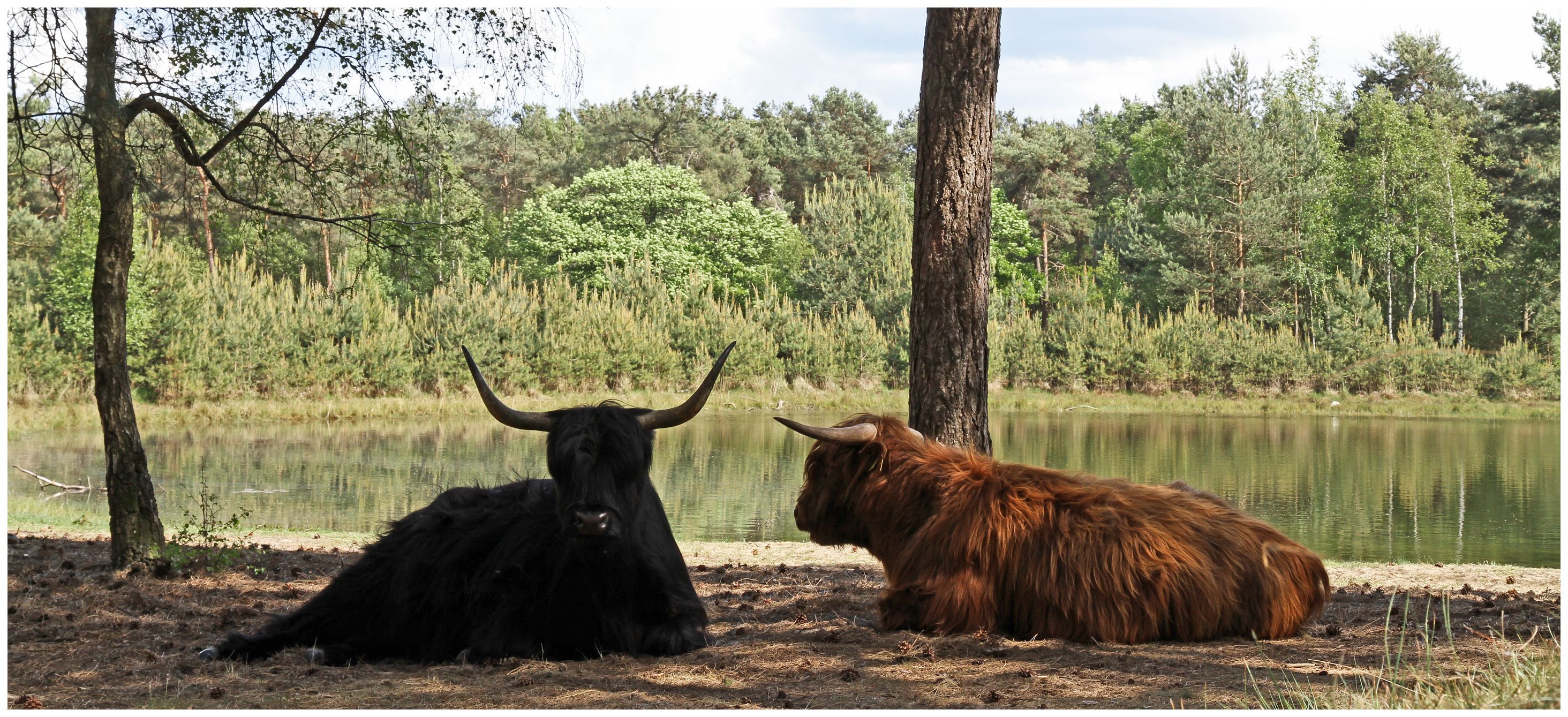 Foto: EUS NIEUWEHUIZEN 